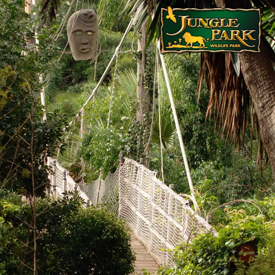 tenerifeaz-jungle-park-jungle-raid