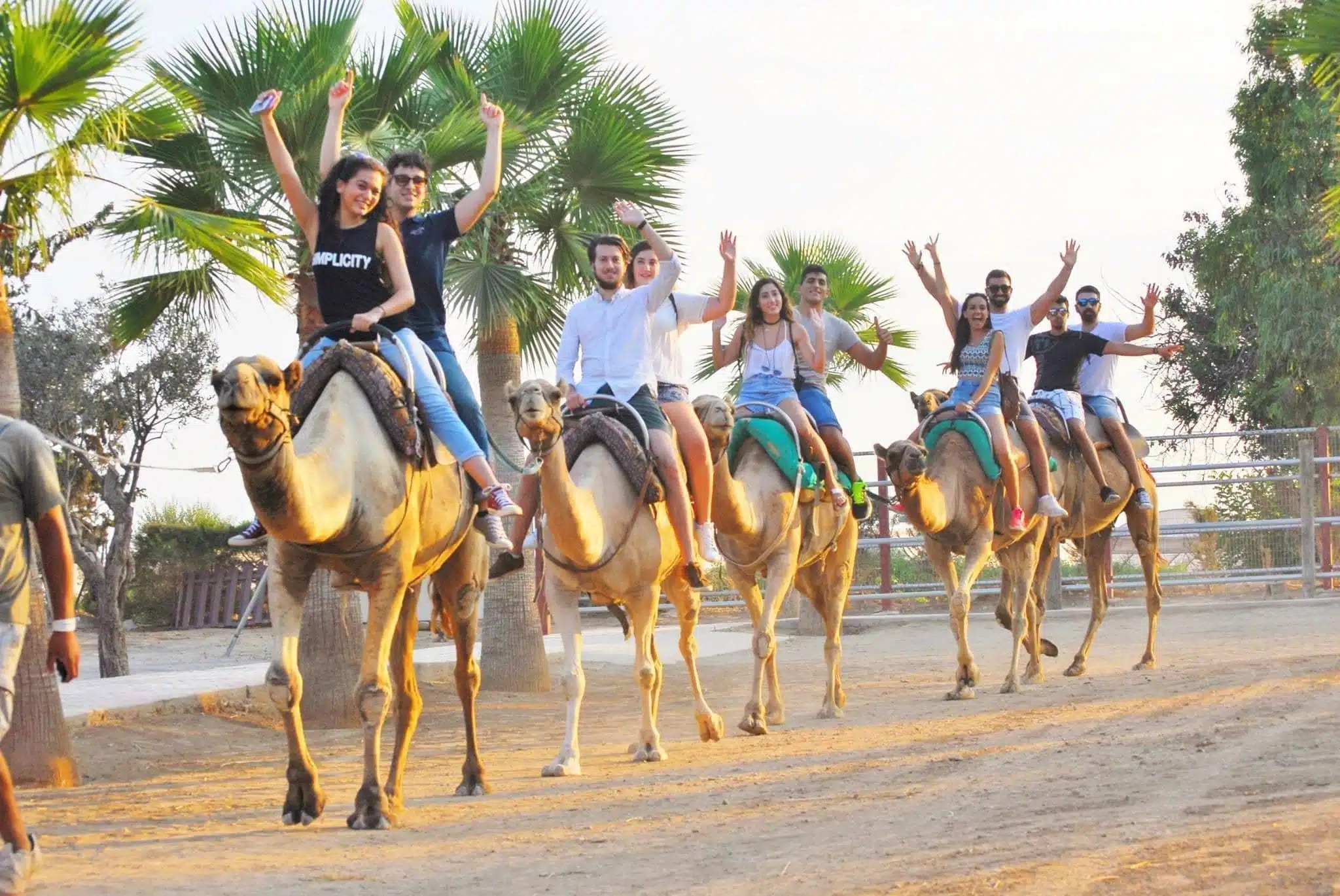 camel-park-camel-walk-la-camella-tenerife-cheap-lowcost-goats-donkeys-nature-parrots-horses-chickens-7