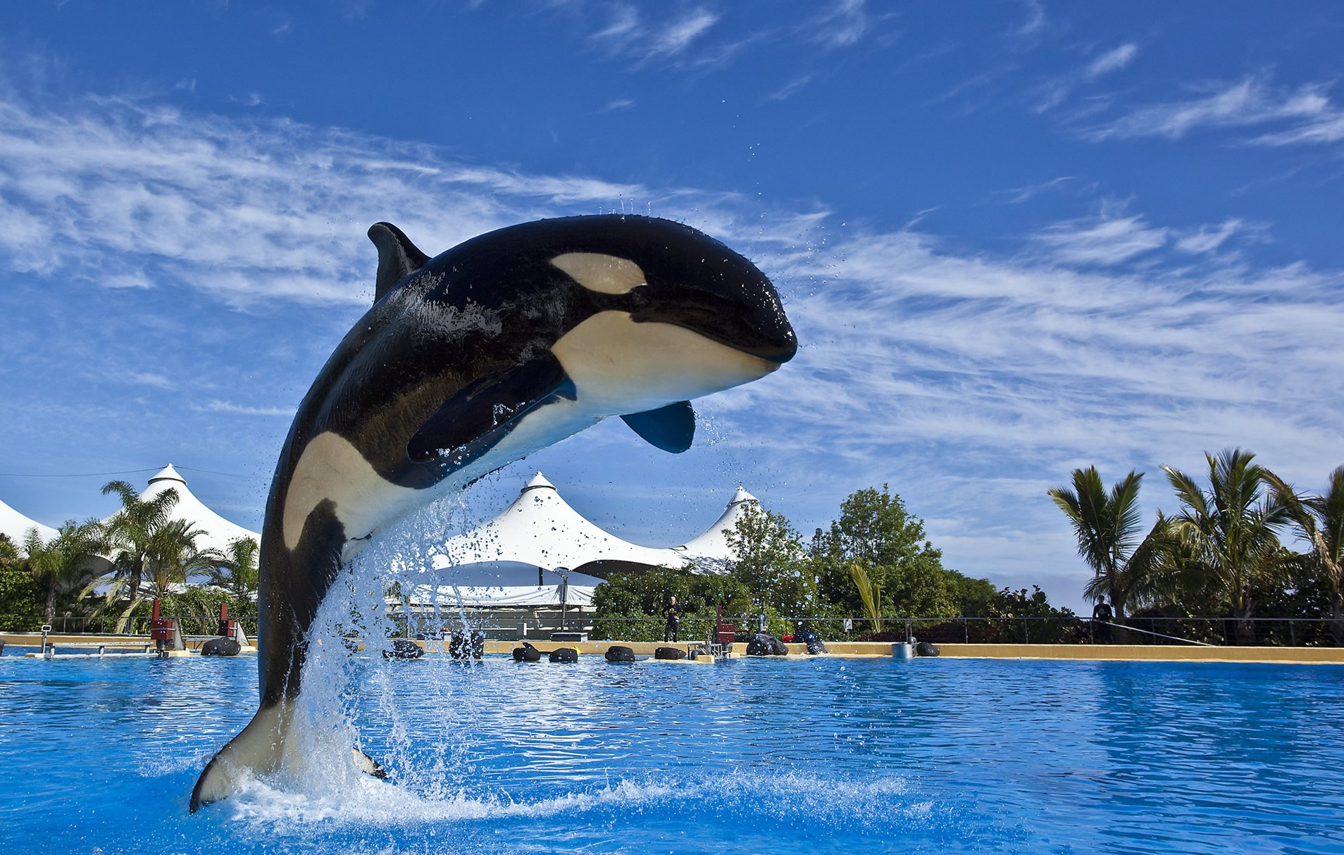 Loro Parqueauf Teneriffa