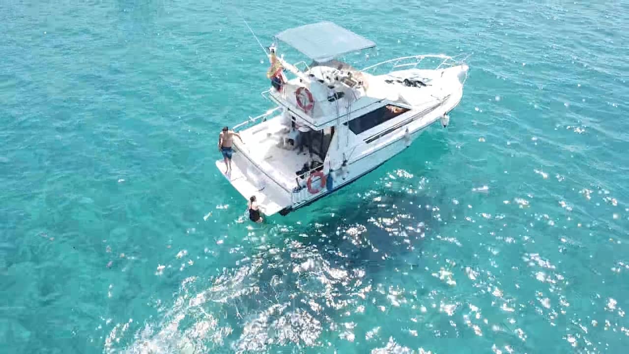 dji_fly_20250503_124340_0_1746272620623_photo_low_quality