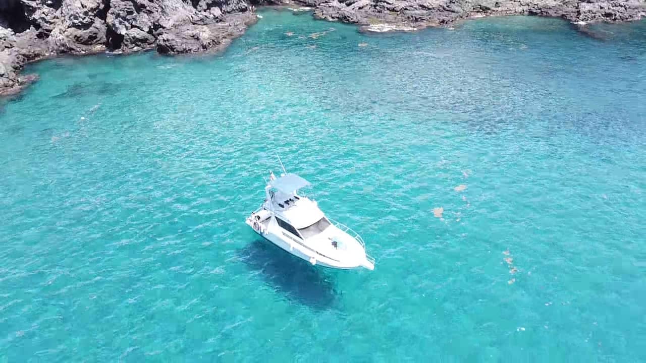dji_fly_20250503_130303_0_1746273783136_photo_low_quality