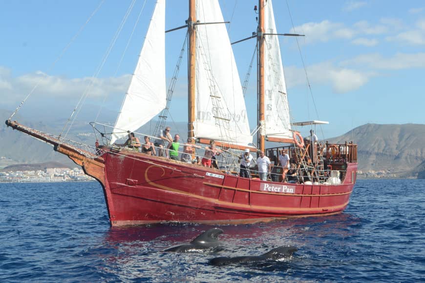 peterpan_05