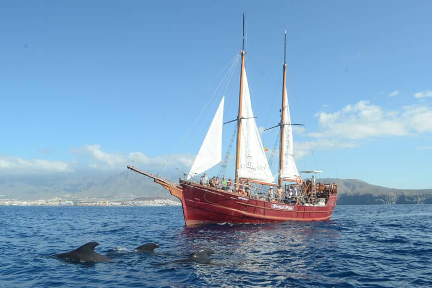 peterpan_06
