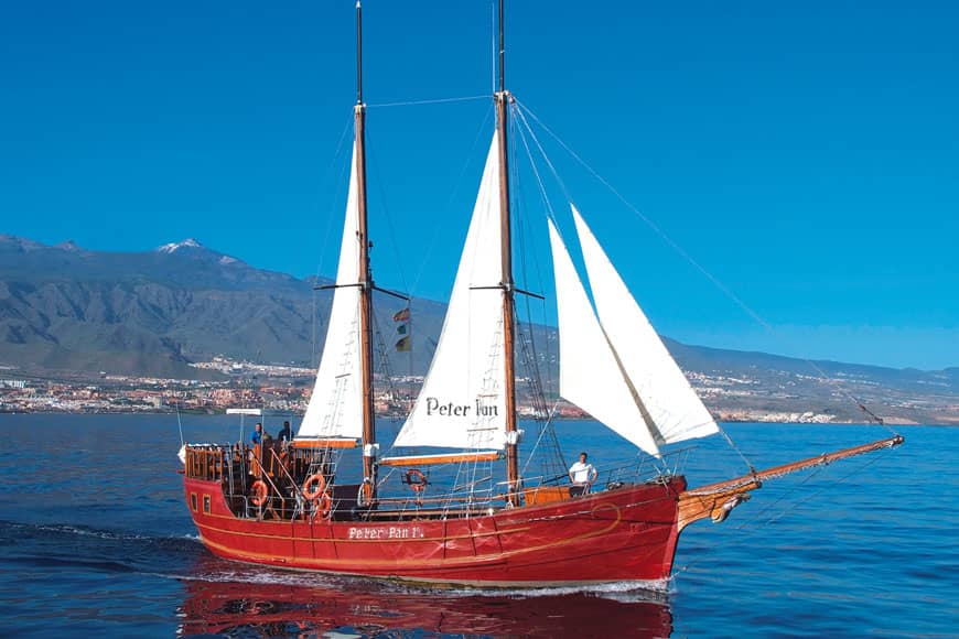 peterpan_08