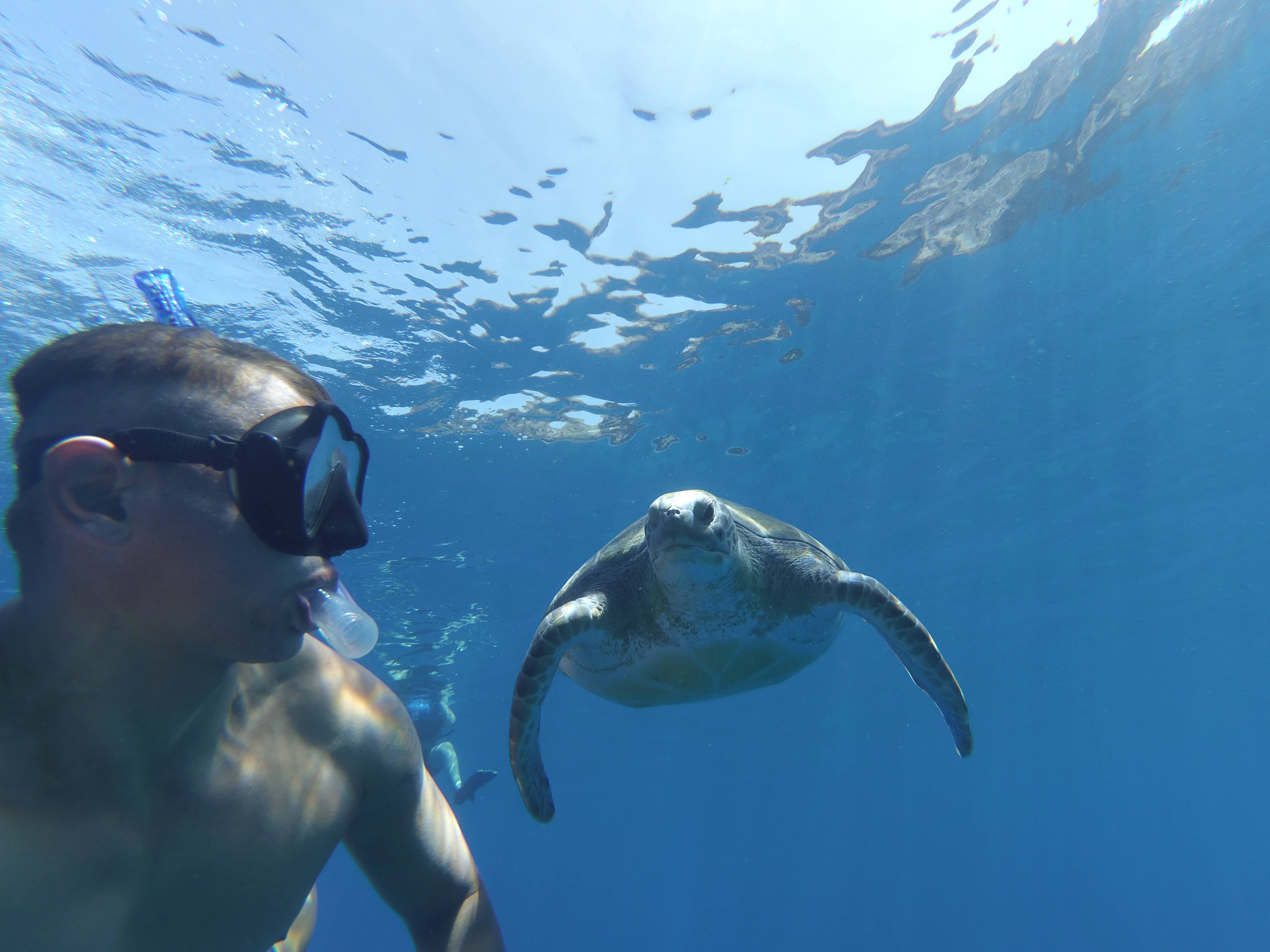 Snorkel Tenerife
