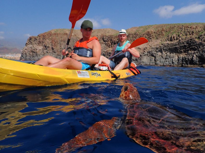 Kayak + snorkel para descubrir tortugas