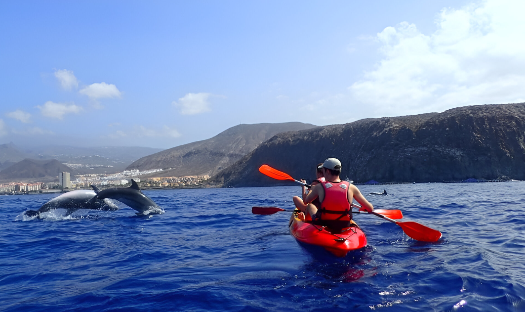 Kayak y snorkel: ¡encuéntrese con las tortugas y los delfines!