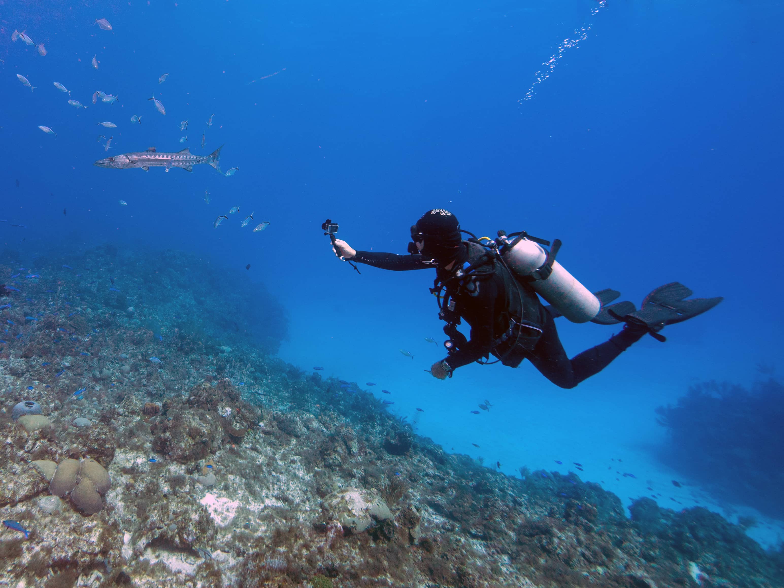 Divingin Tenerife