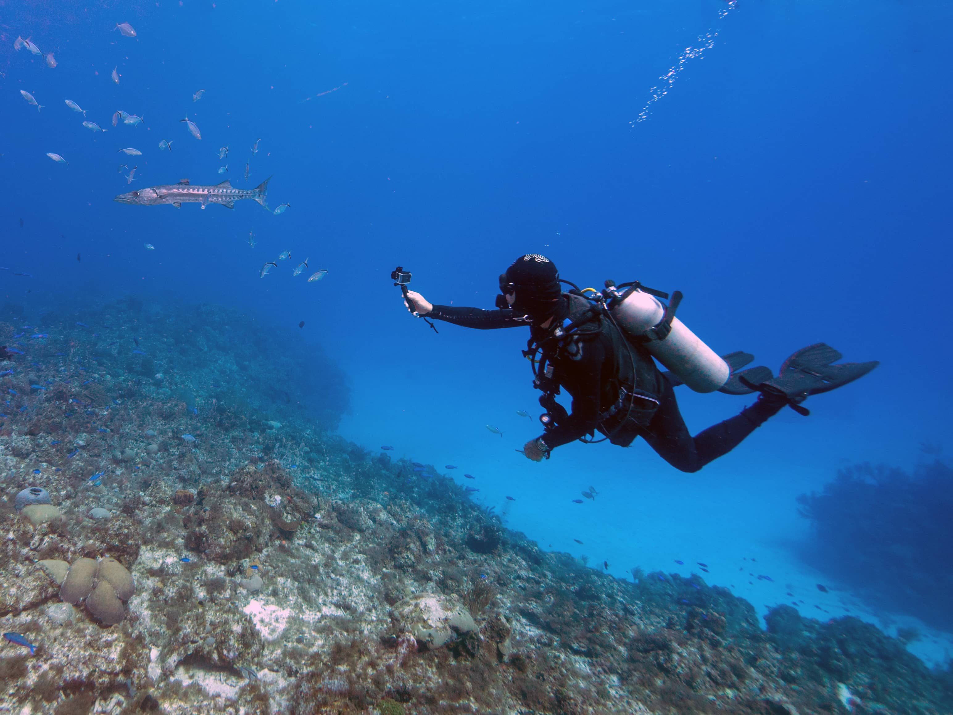 Dive into the crystal-clear waters of Tenerife and learn to scuba dive or rediscover this passion during your vacation.&nbsp;