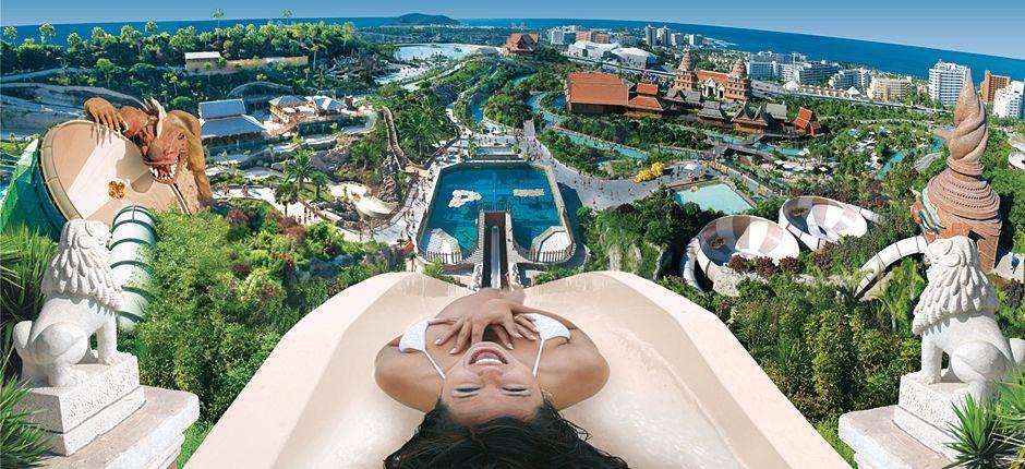 Siam Parkauf Teneriffa