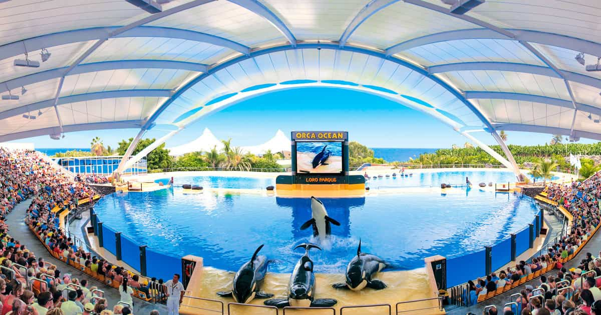 Presentación de Loro Parque