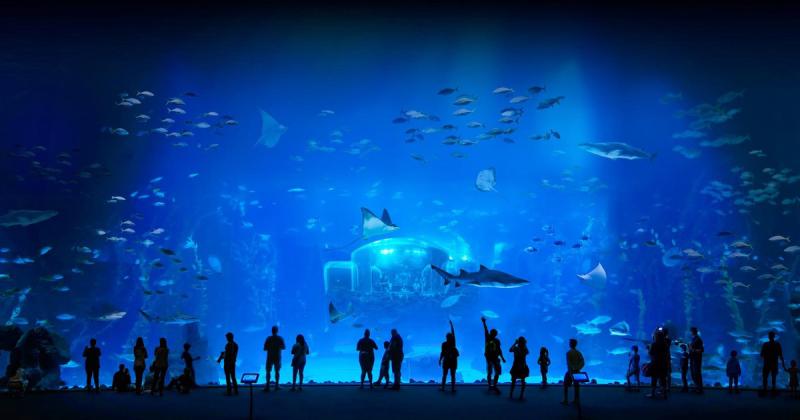 Aquarium Poema del Mar