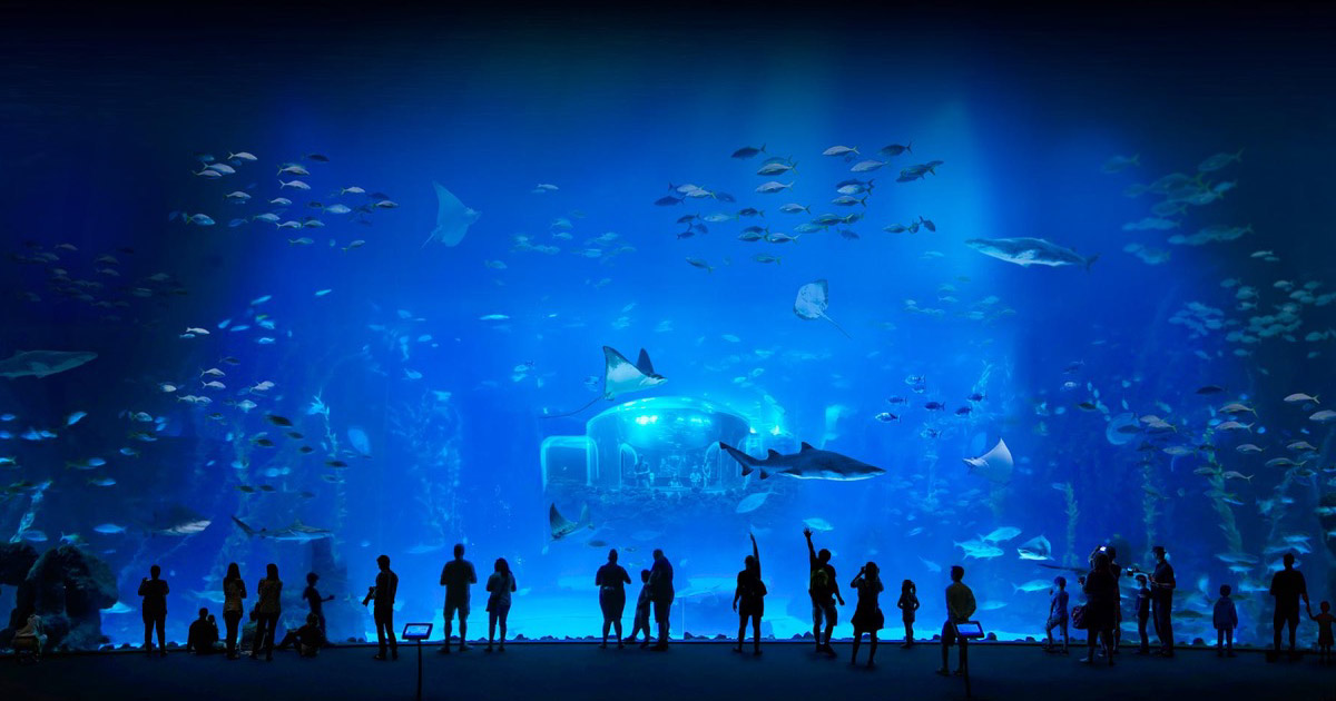 poema-del-mar-aquarium-gran-canaria-homepage-open-graph-image