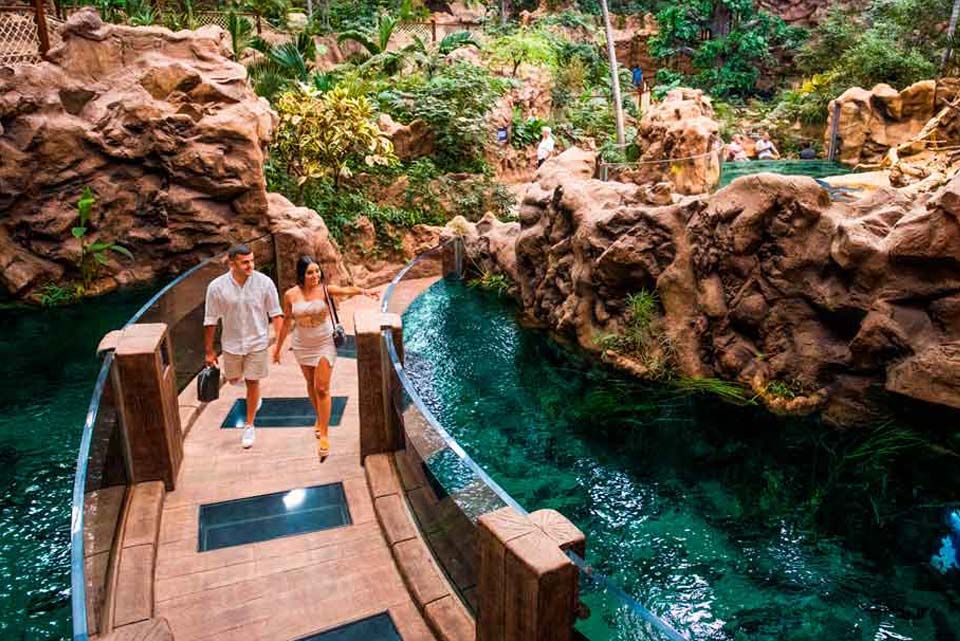 jungle-zone-poema-del-mar-aquarium-gran-canaria-57763643