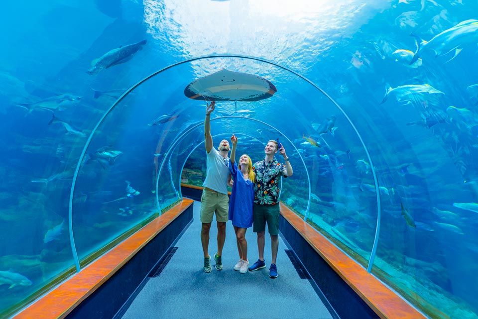 old-00012-giants-of-the-rivers-poema-del-mar-aquarium-gran-canaria-8c1b2660