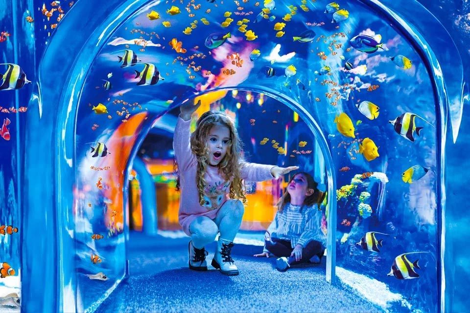 tropical-zone-poema-del-mar-aquarium-gran-canaria-e67cc764