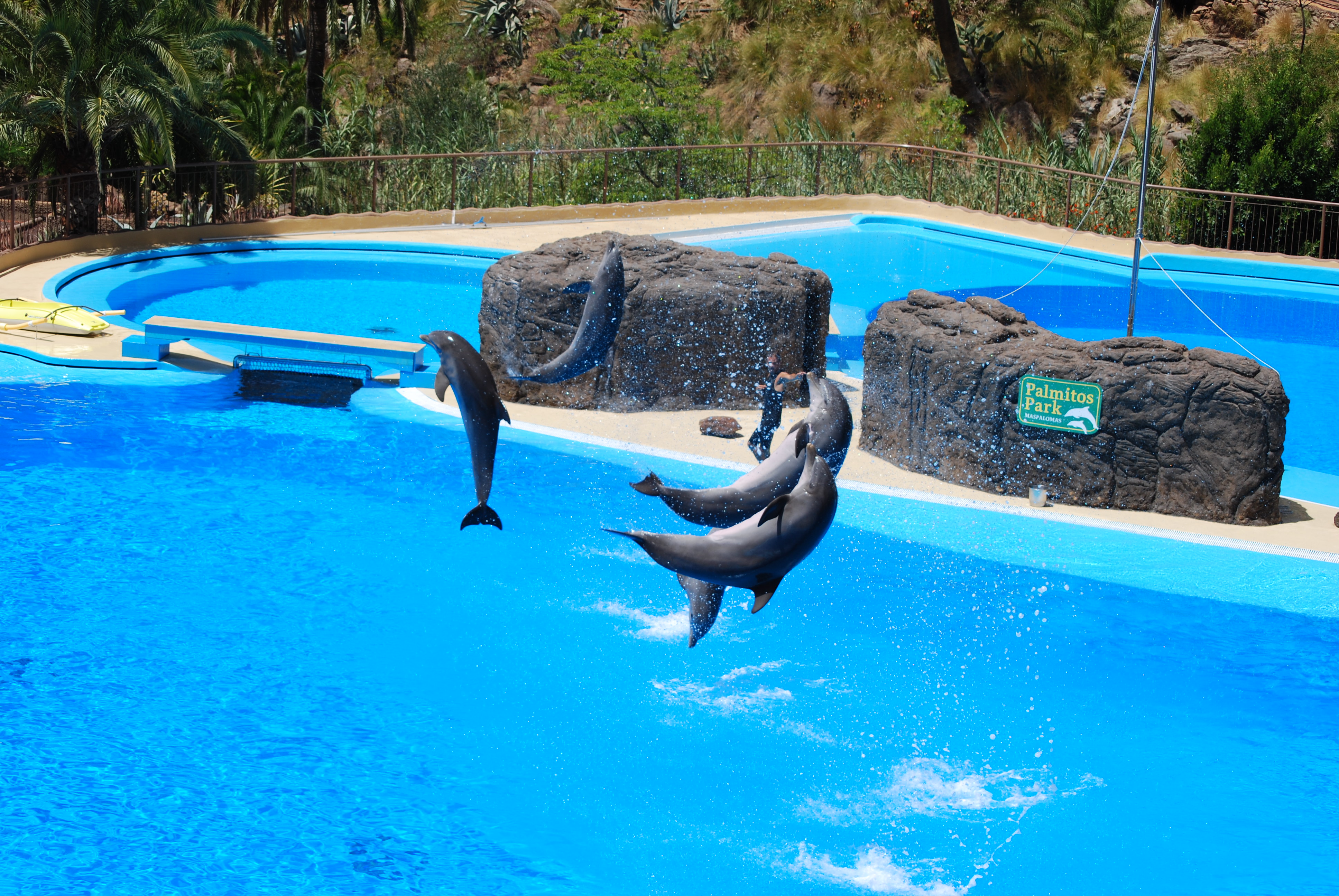 Delfine_Palmitos_Park_2010