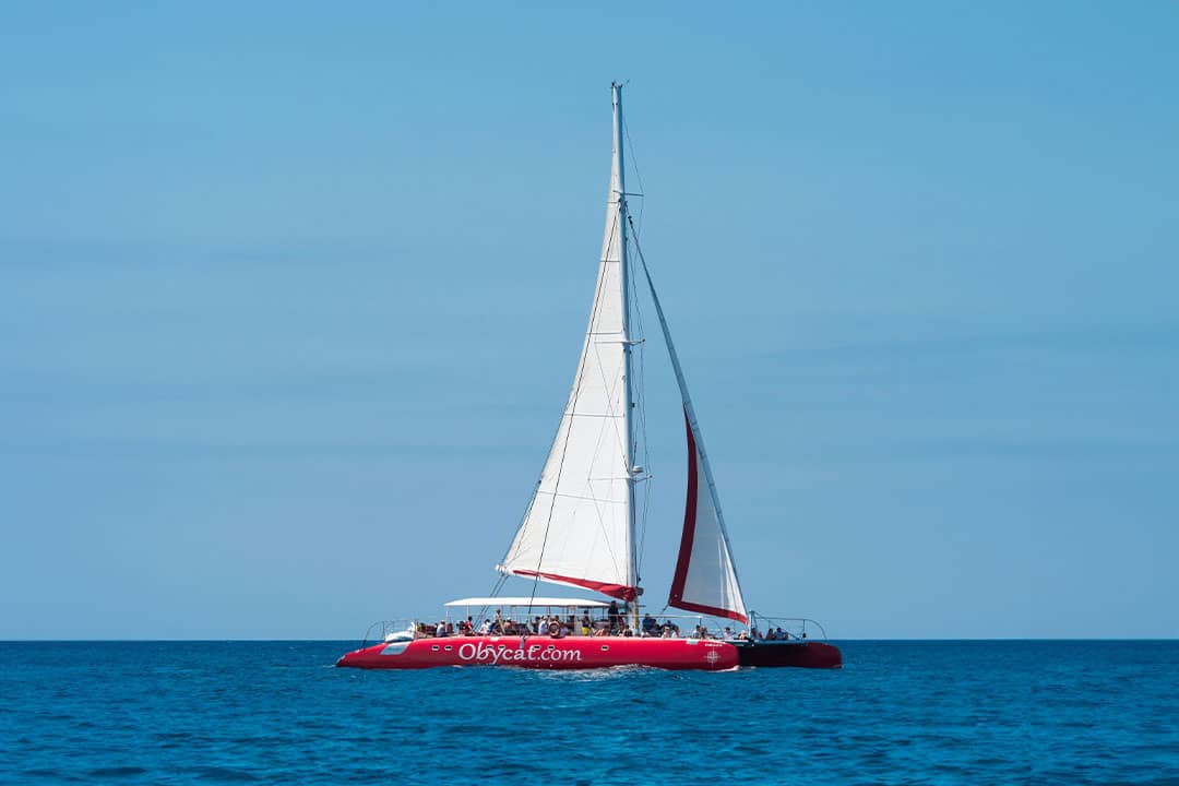 obycat-catamaran-full-view