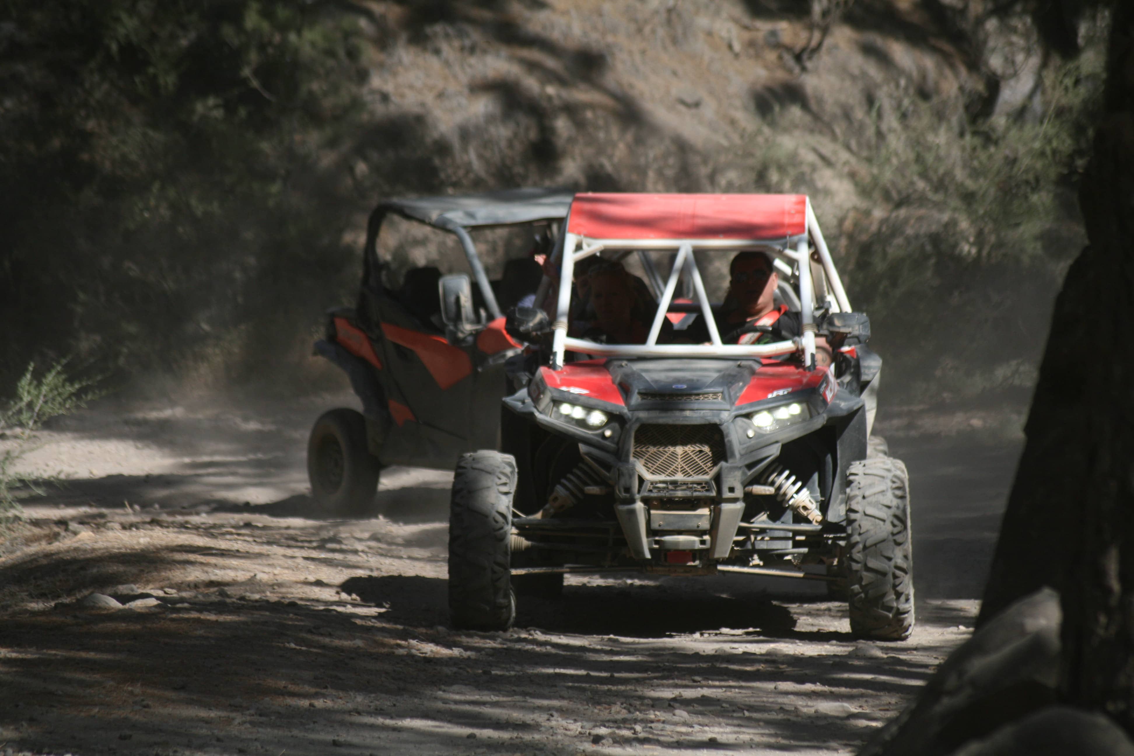 >Buggy