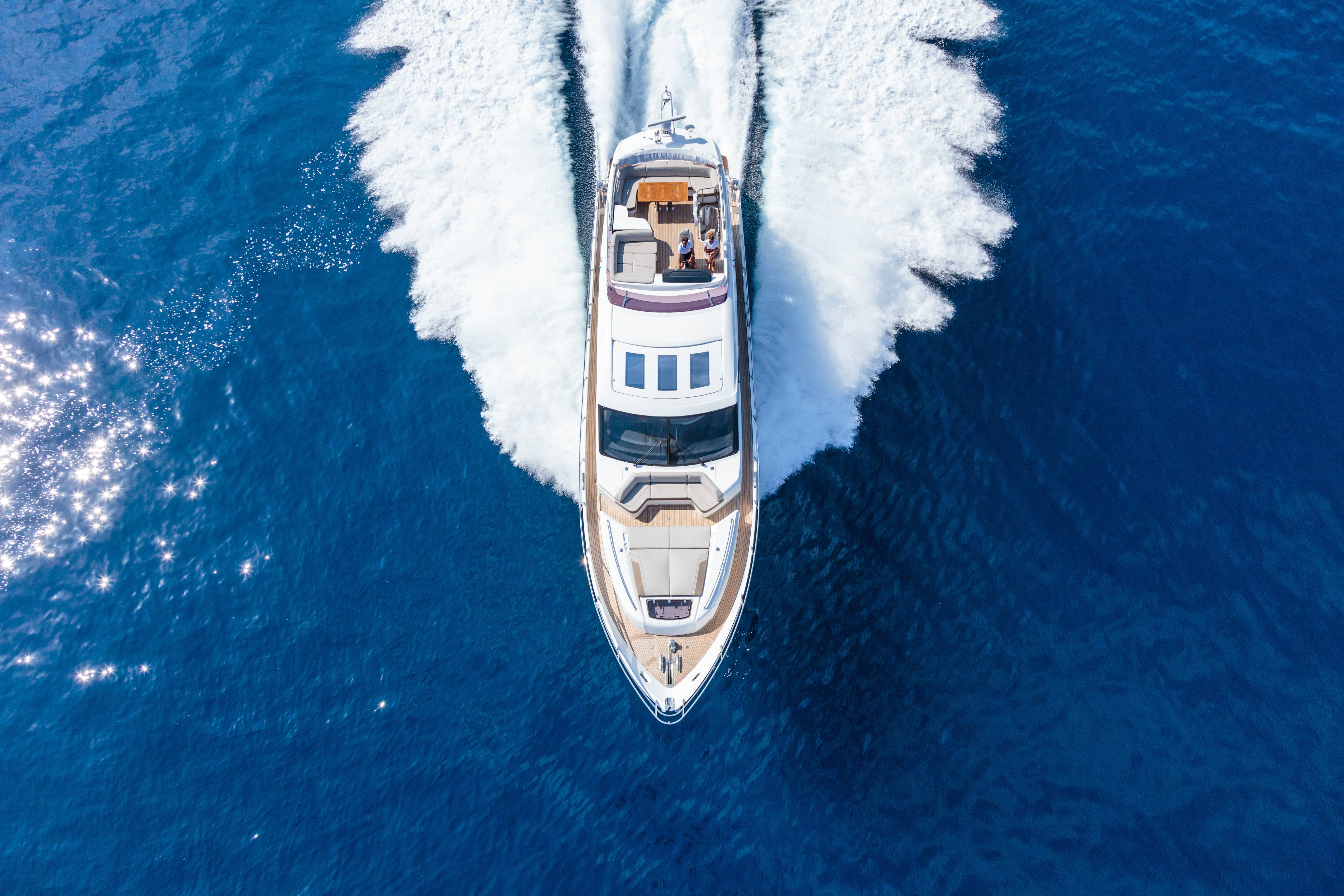 Réservez votre moment de détente sur un bateau et observez les mammifères marins comme les dauphins ou les baleines 