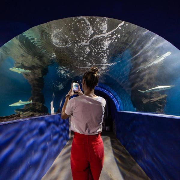 Aquarium à Lanzarote