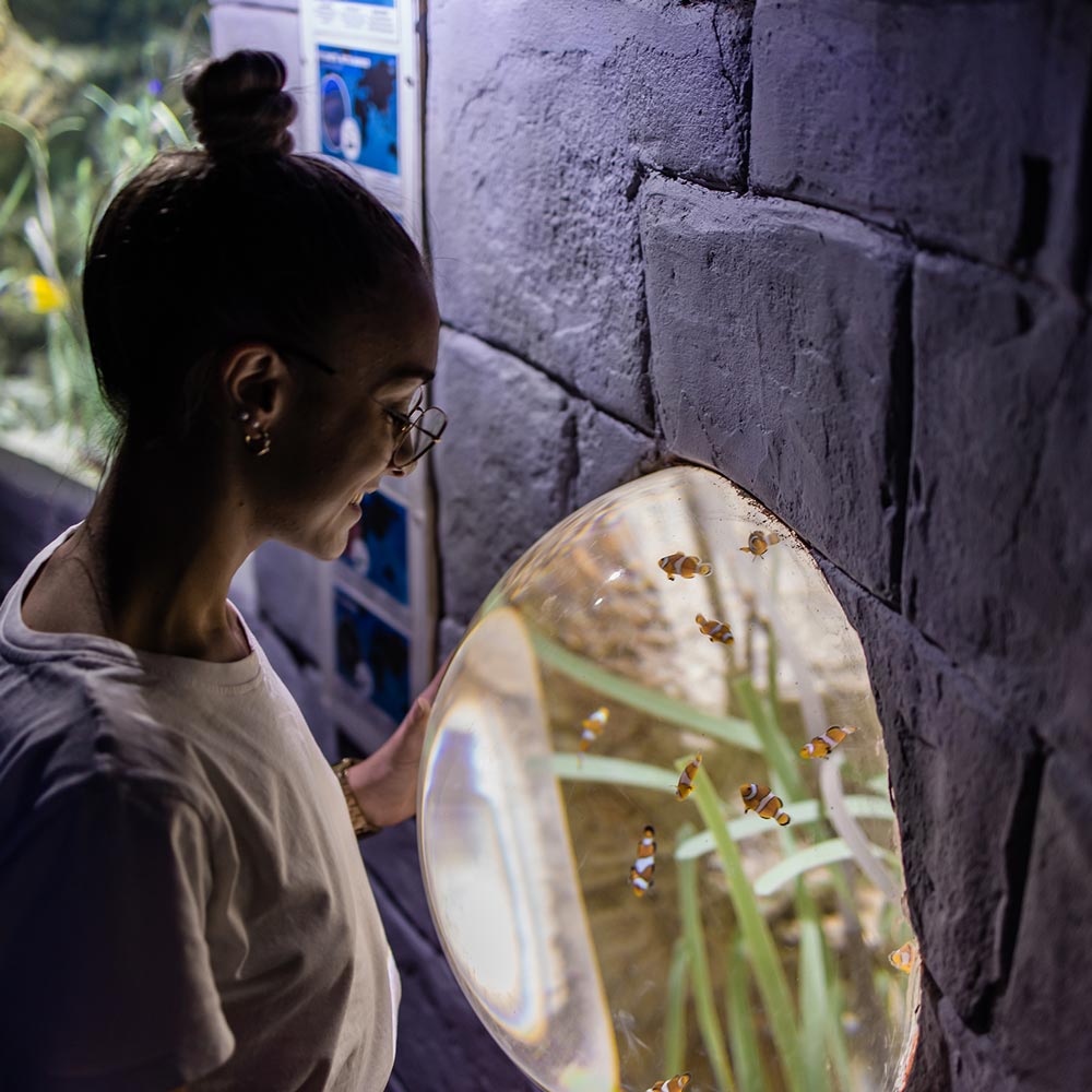 galeria-aquarium-2