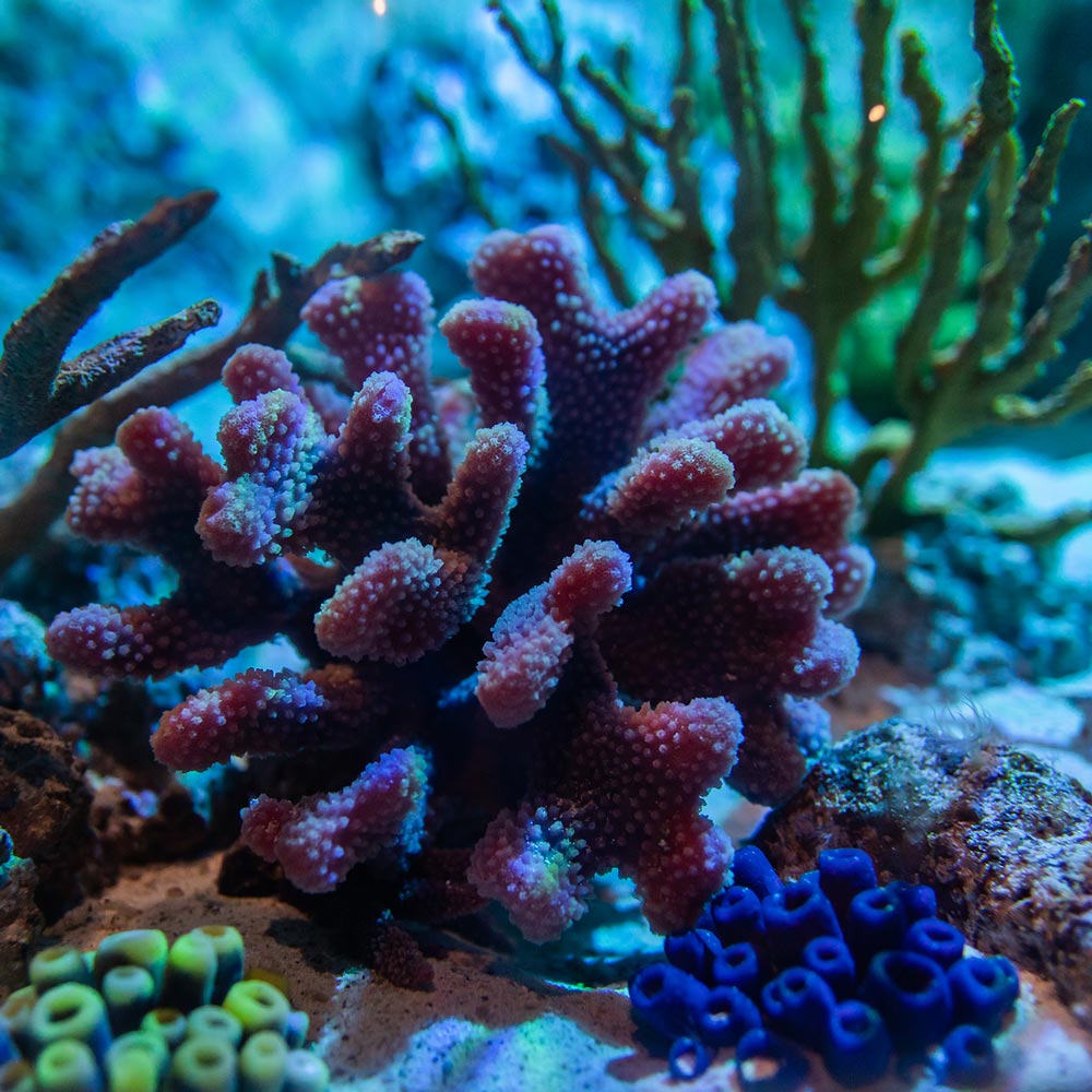 galeria-aquarium-3