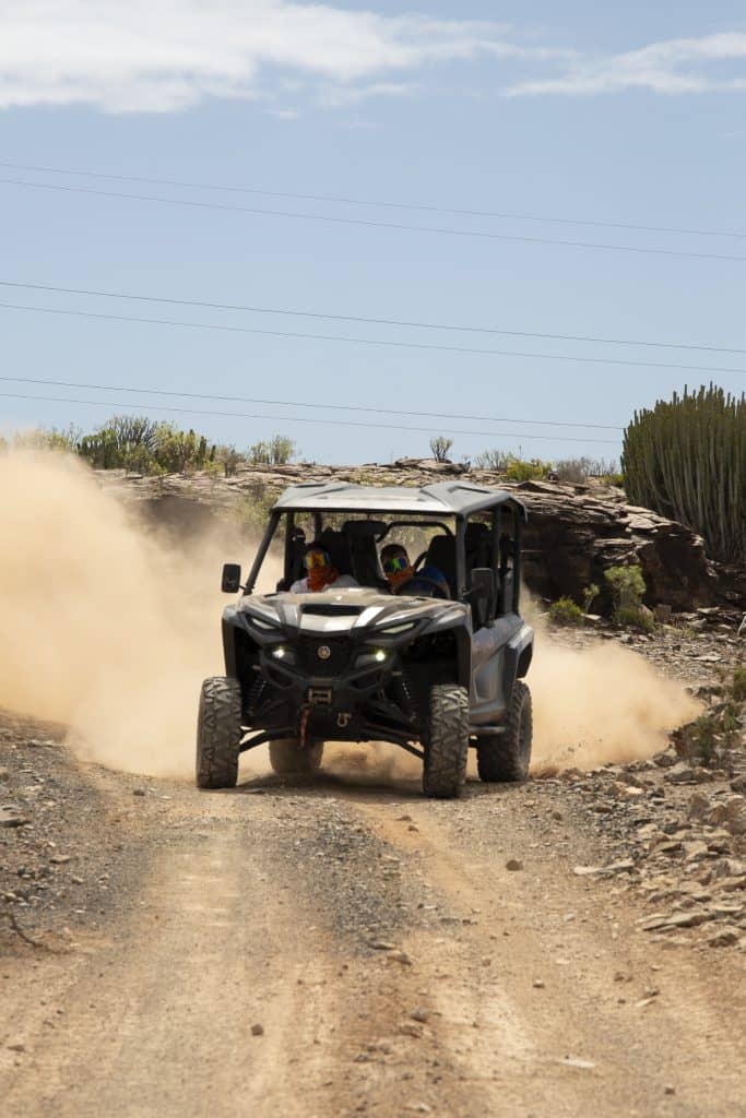 >Buggy