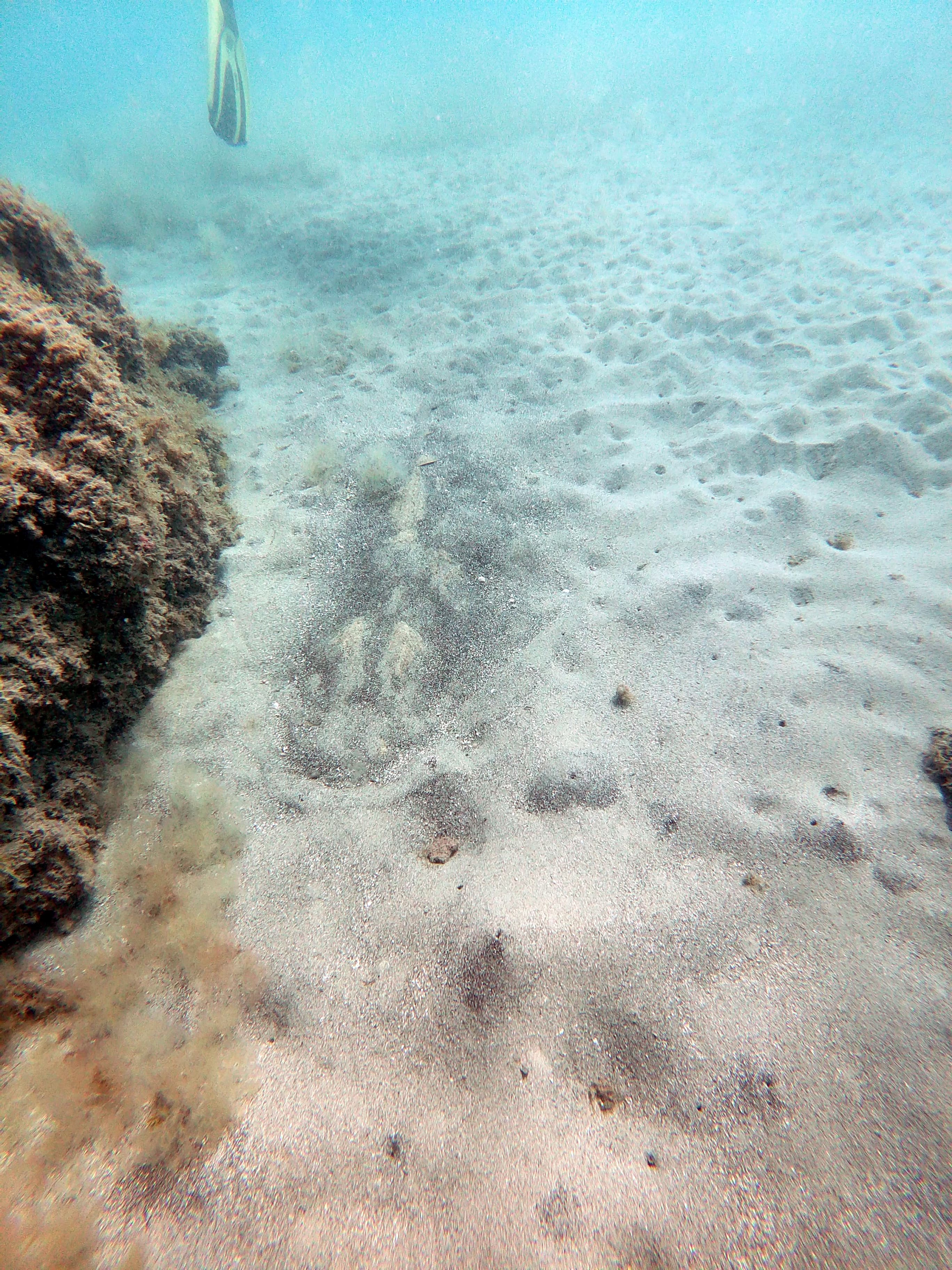IMG-20250604-WA0019-min