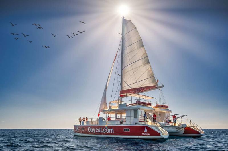 La meilleure excursion en catamaran de Fuerteventura