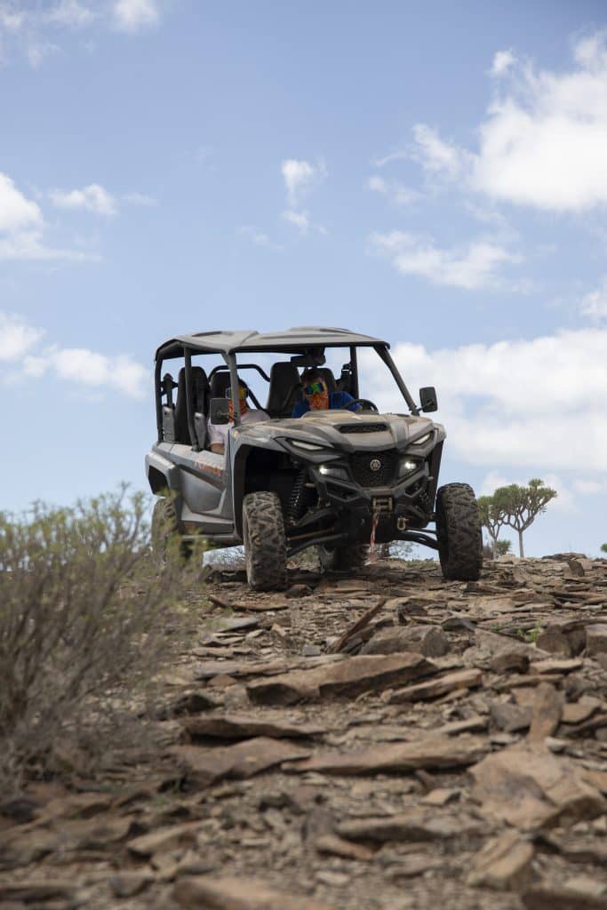 Buggy 2