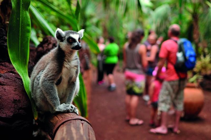 Oasis Wildlife : réservez vos billets pour le parc !
