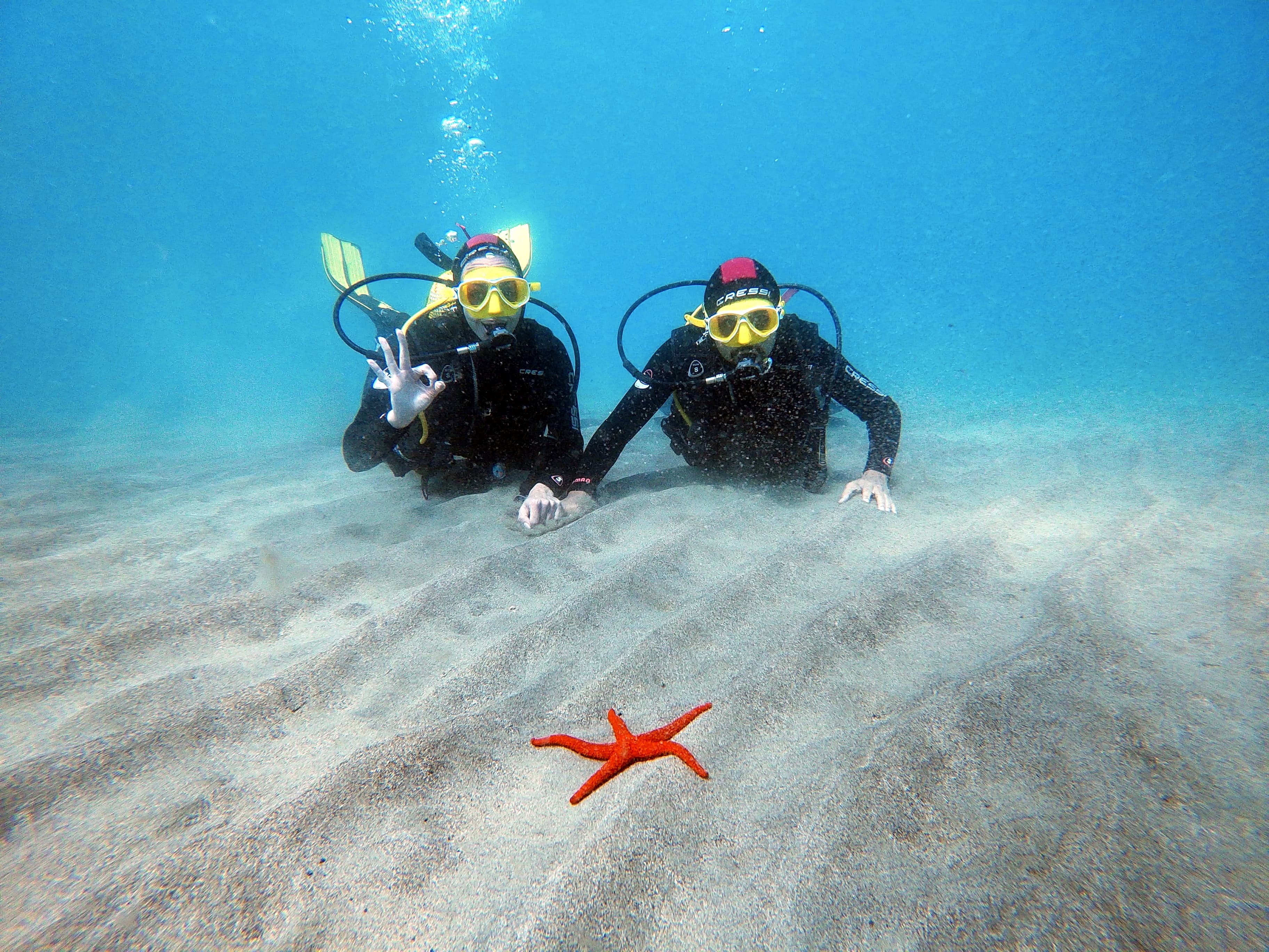 Plongez dans les eaux cristallines de Fuerteventura et initiez-vous à la plongée sous-marine ou redécouvrez cette passion pendant vos vacances.&nbsp;