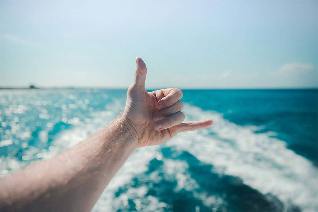Réservez votre moment de détente sur un bateau et observez les mammifères marins comme les dauphins ou les baleines 
