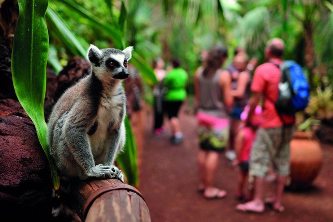 Oasis Wildlife Fuerteventura