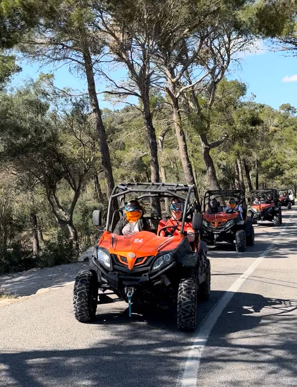 DRAGON-BUGGY-22