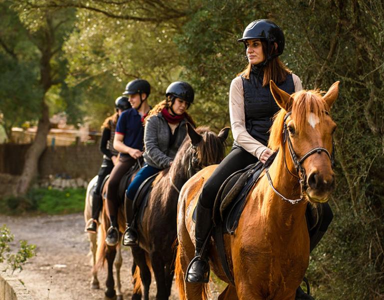 Balade à cheval – Explorez la vallée de Randa à cheval