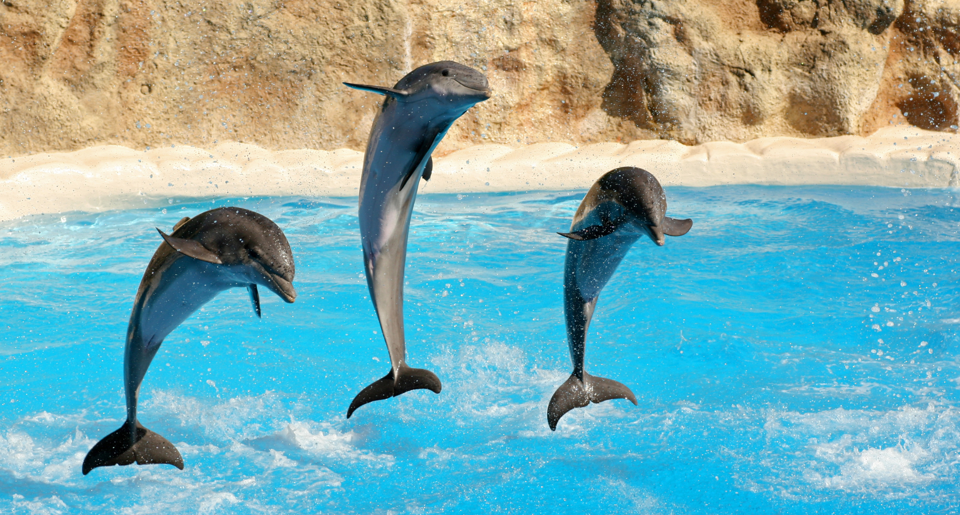 Marineland