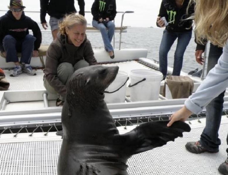 Croisière Big 5 marins et rencontre avec les phoques