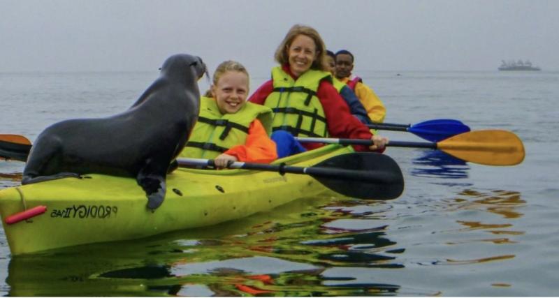 Pagayez avec les otaries à Walvis Bay – Excursion Kayak à Pelican Point