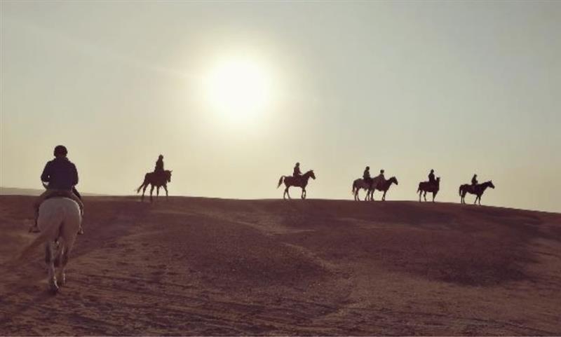 Randonnée ou Journée Équestre dans le Désert de Namib : Désert, Coucher de Soleil et Plage