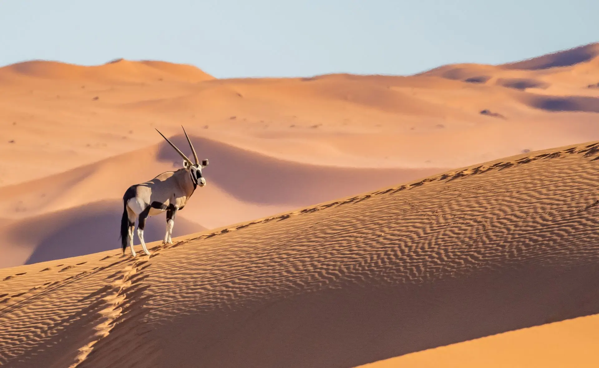 La Namibie regorge d’activités de toutes sortes !